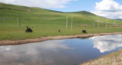 瑪曲觀察之：草原遊牧文化與藏族糧食安全的隱憂