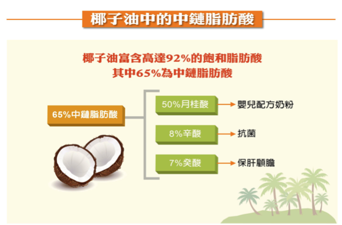 椰子油可以減重嗎-3.png