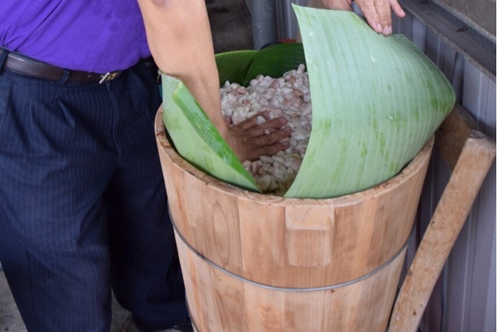 可可發酵2.jpg