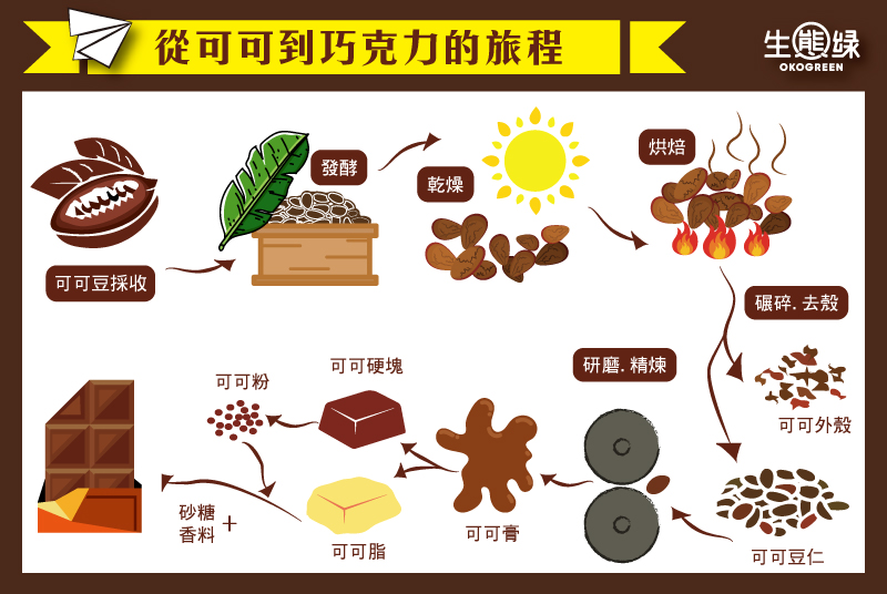 可可製程-s.jpg
