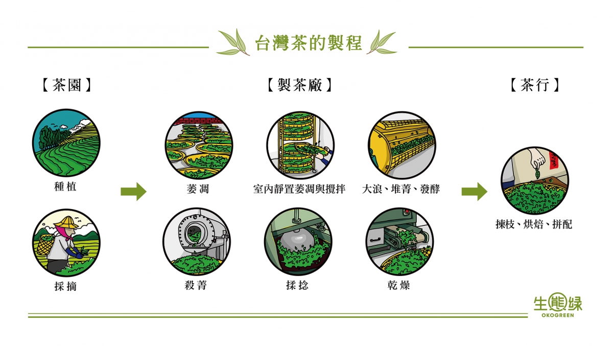台灣茶的製程-02.jpg