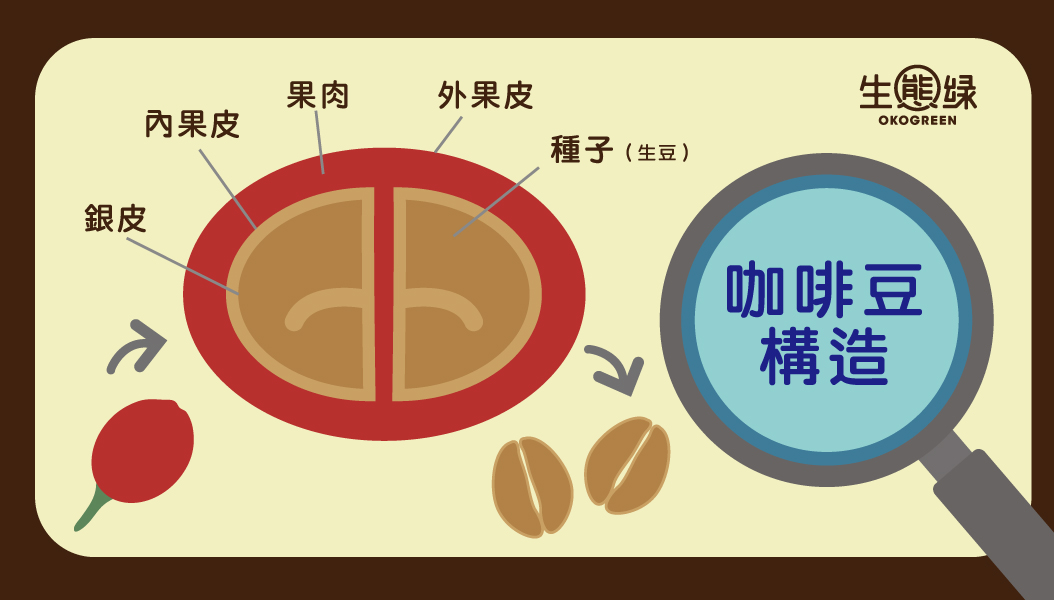 咖啡豆-水洗日曬3.jpg