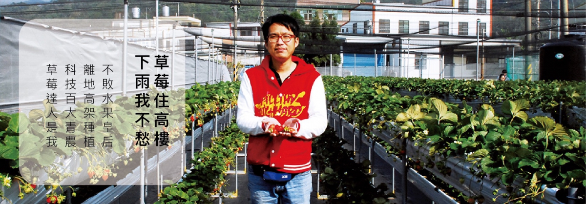 格外7.jpg