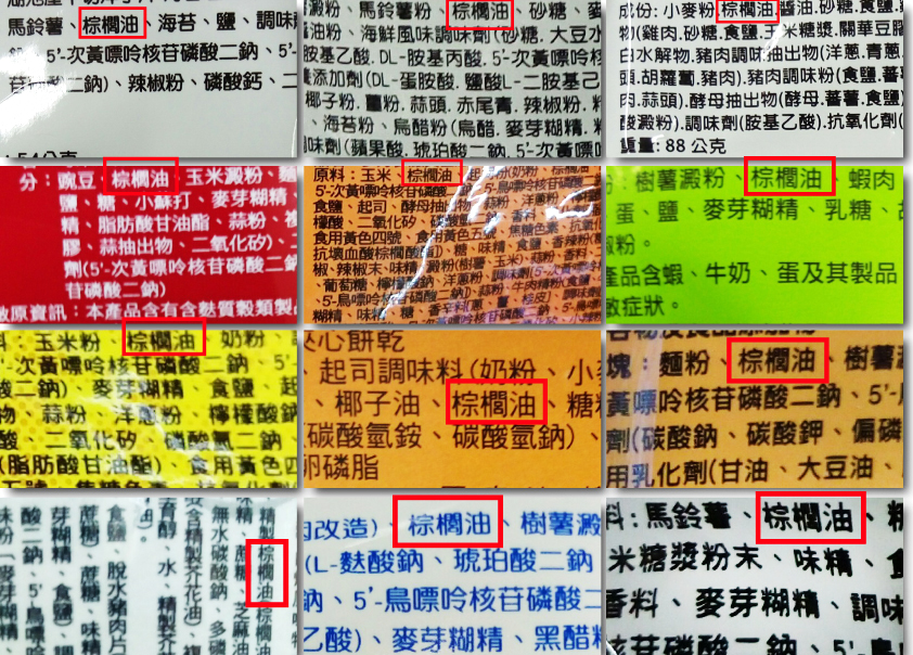 棕櫚油.jpg