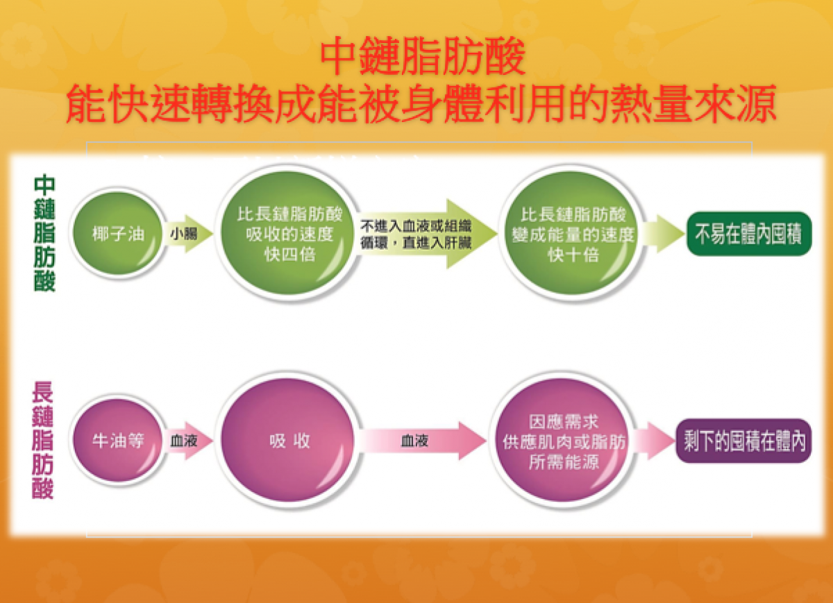 椰子油可以減重嗎-2.png