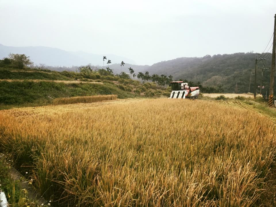 源天然-黑纖粥12.jpg