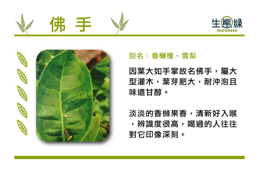 茶葉樹種-佛-手.jpg