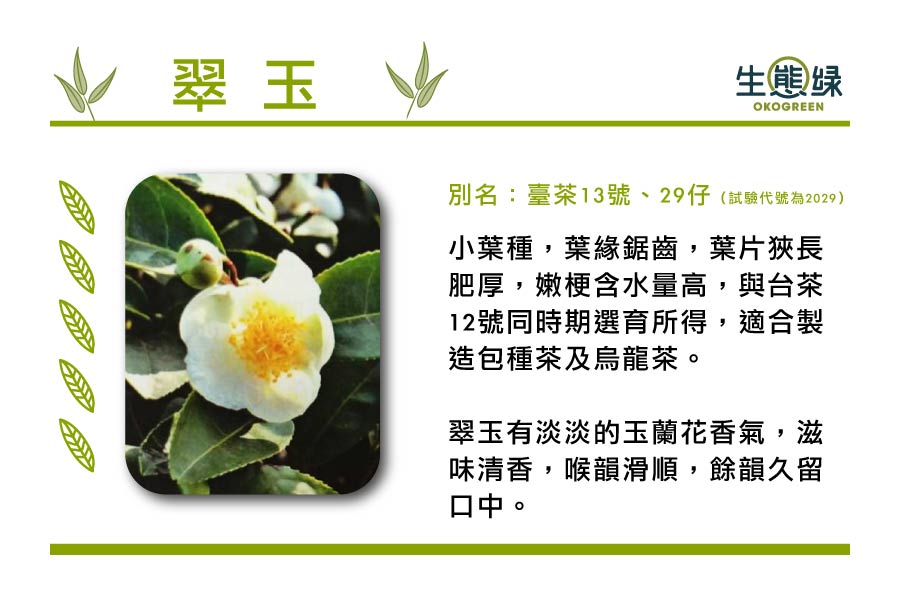 茶葉樹種-翠-玉.jpg