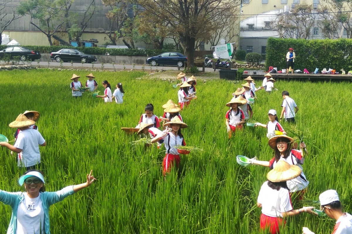 鴨間稻-手工米香8.JPG