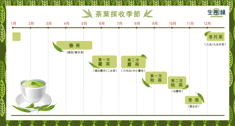 blog-茶之四季_0.jpg