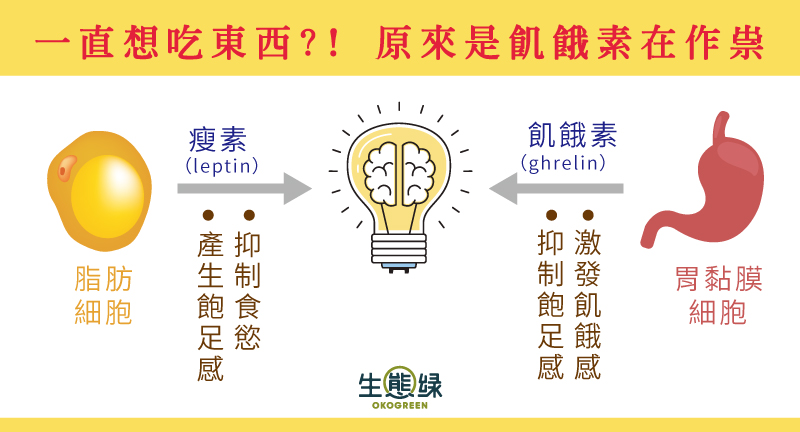 blog-部落格封面圖_0.jpg