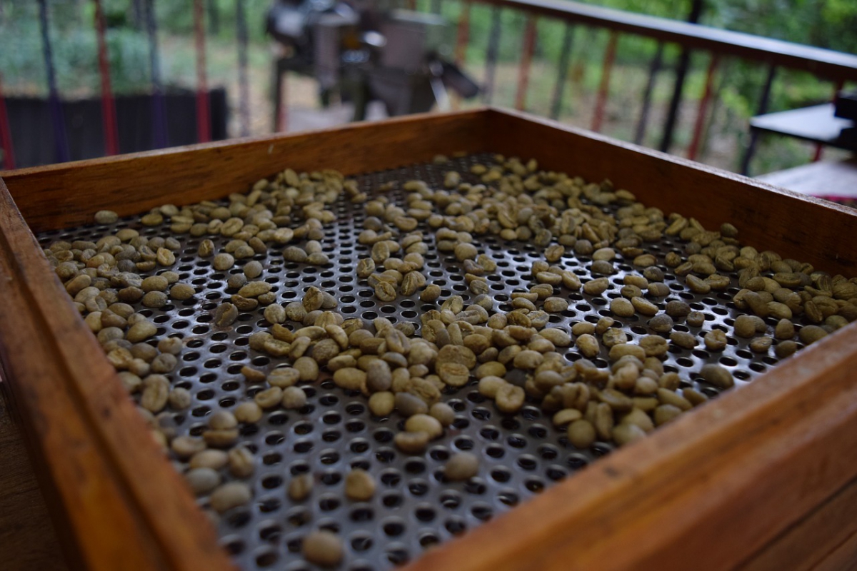 coffee-1129603_1280.jpg
