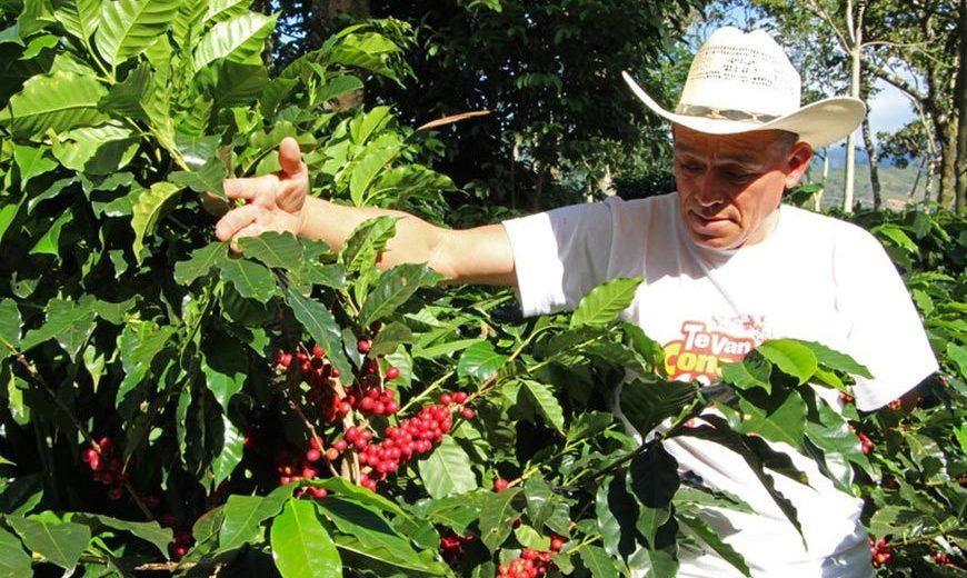 COCAFCAL_FranciscoWithCoffee_870.jpeg