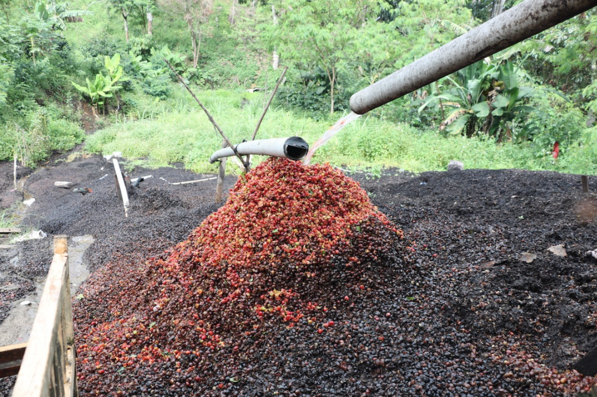 coffee.png