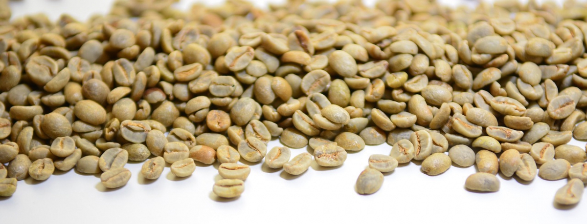 greencoffee_0.jpg
