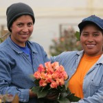 Workers-150x150