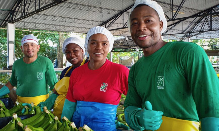 870_Bananaworkers_2021.jpeg