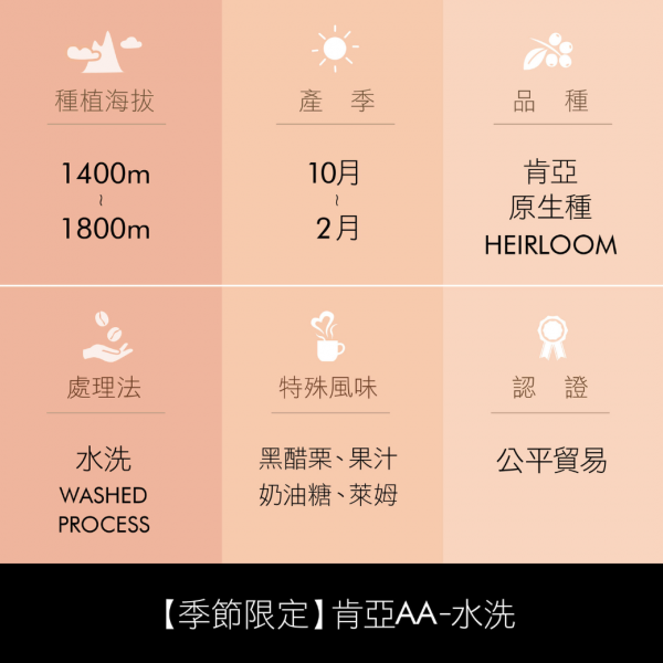 產地風味資訊肯亞-01_1.png