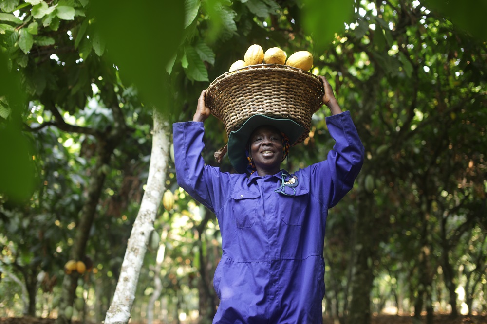 African Farmers_0.jpg