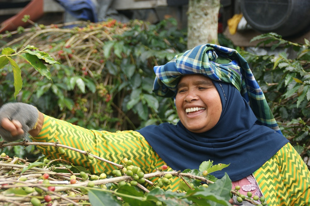 indonesia.jpg