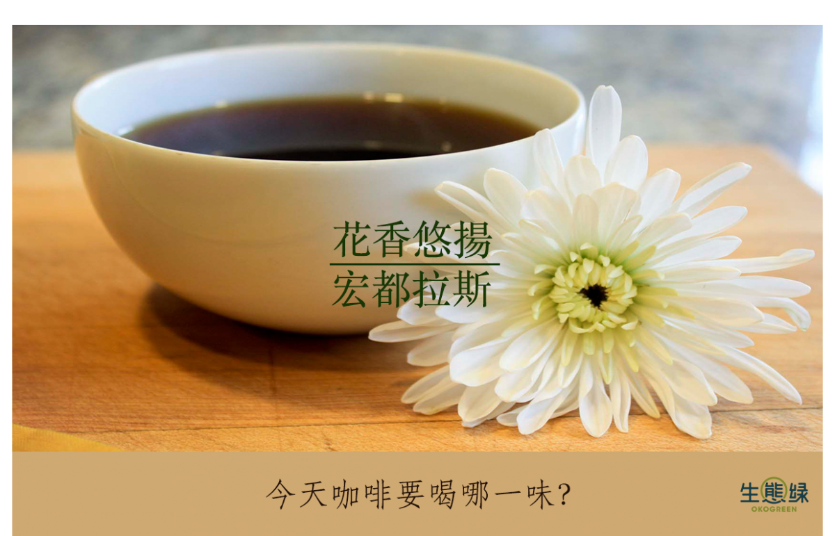 宏都拉斯.png