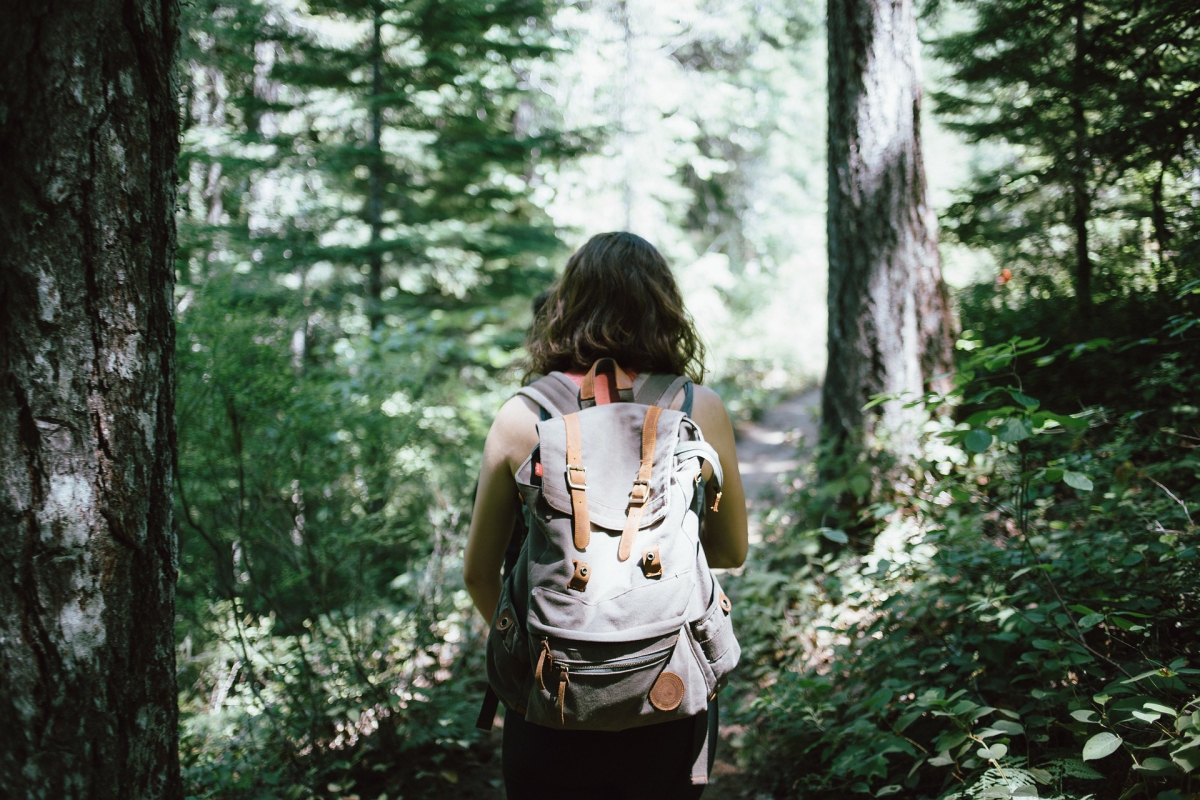 hiker-918704_1920.jpg