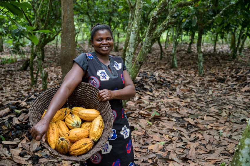 Cocoa impact Project_ Child Rights and Protection-scr (1).jpg